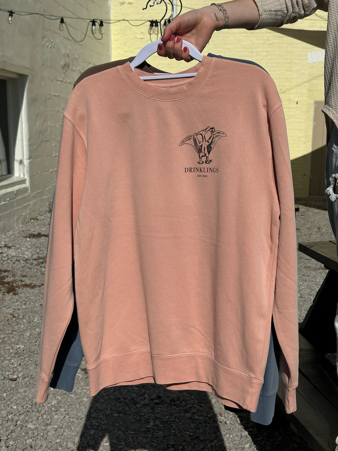 The Drinklings Bookshelf Sweatshirt
